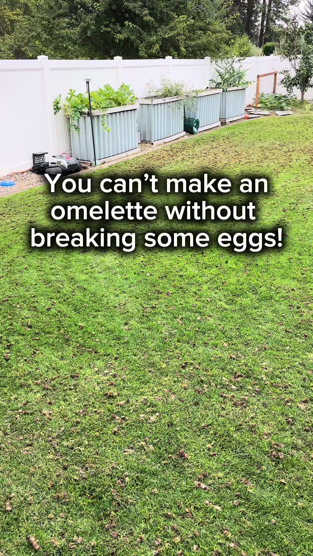@Lawngest Yard