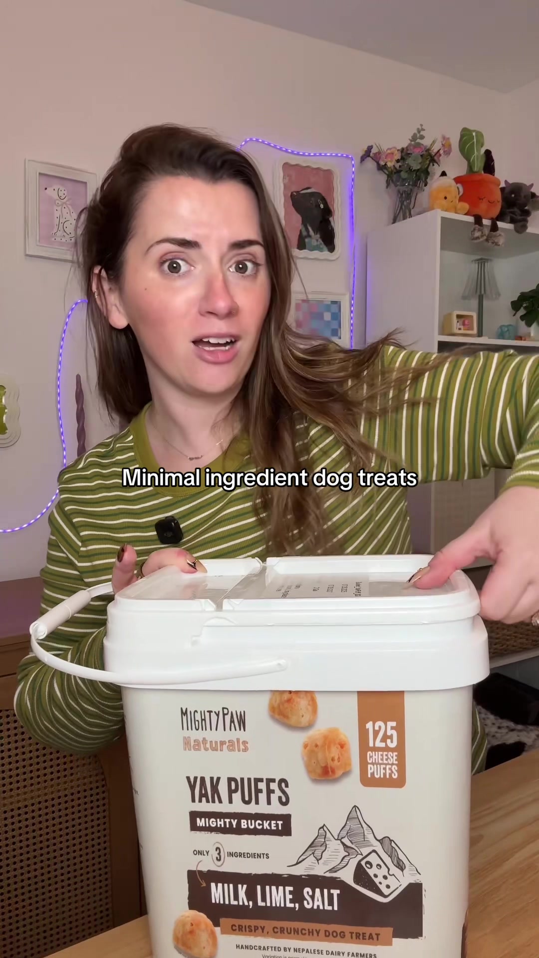 @Chelsea | Dog & Toddler Mom