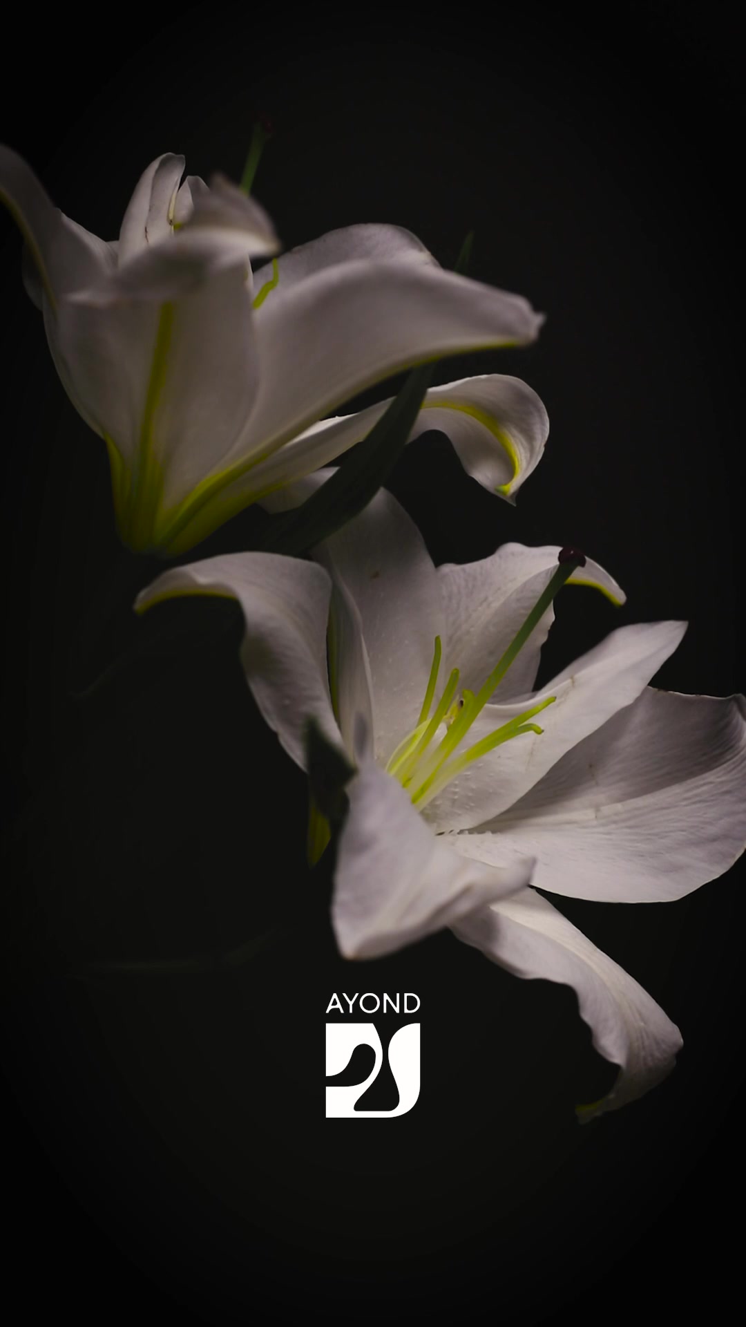 @AYOND