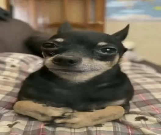 @🪐