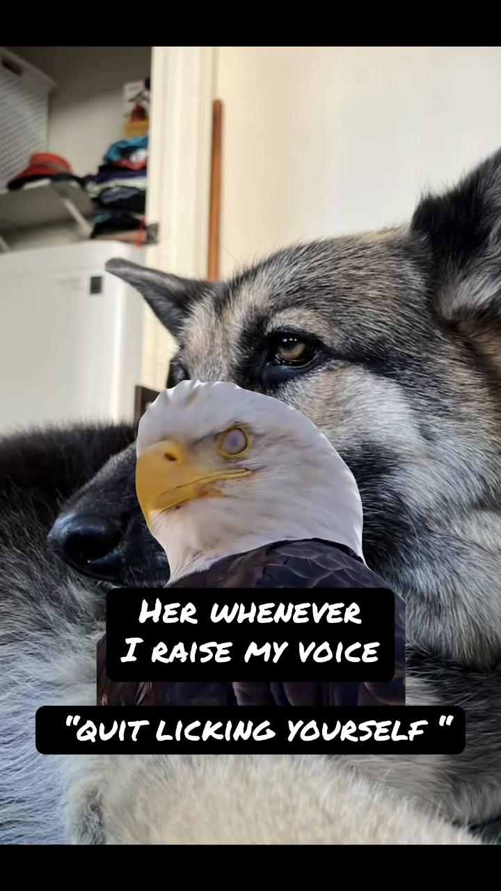 @𝙲𝚑𝚛𝚒𝚜𓇢𓆸