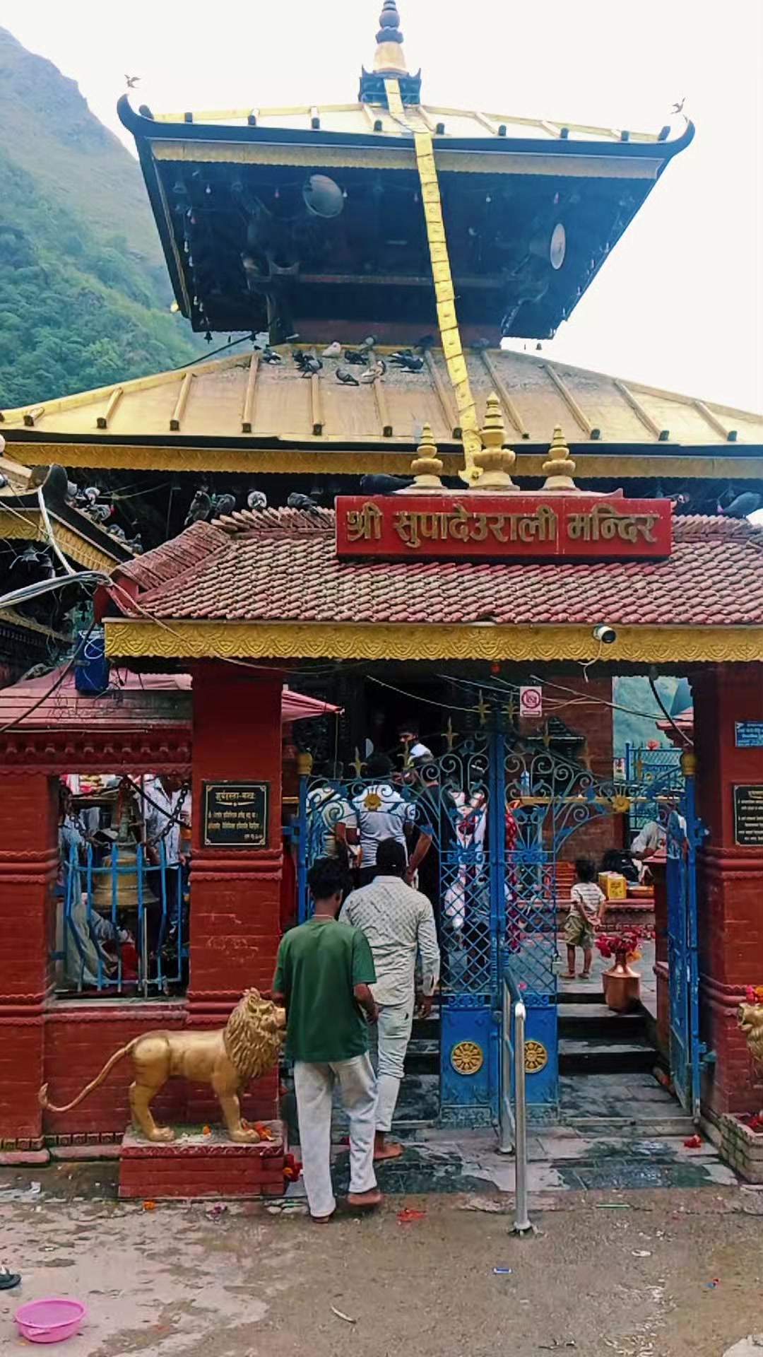 @Dr.Sankalpa Sigdel