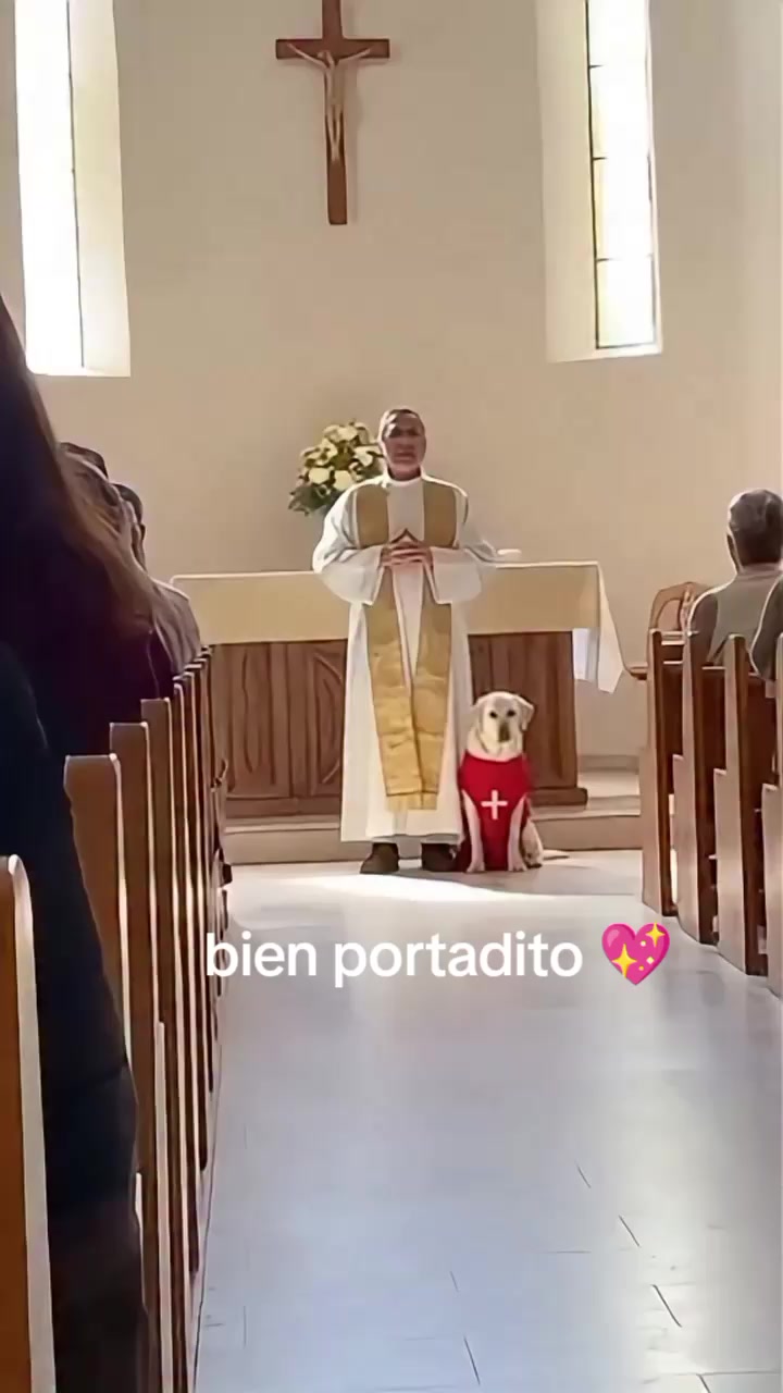 @varcan❤️