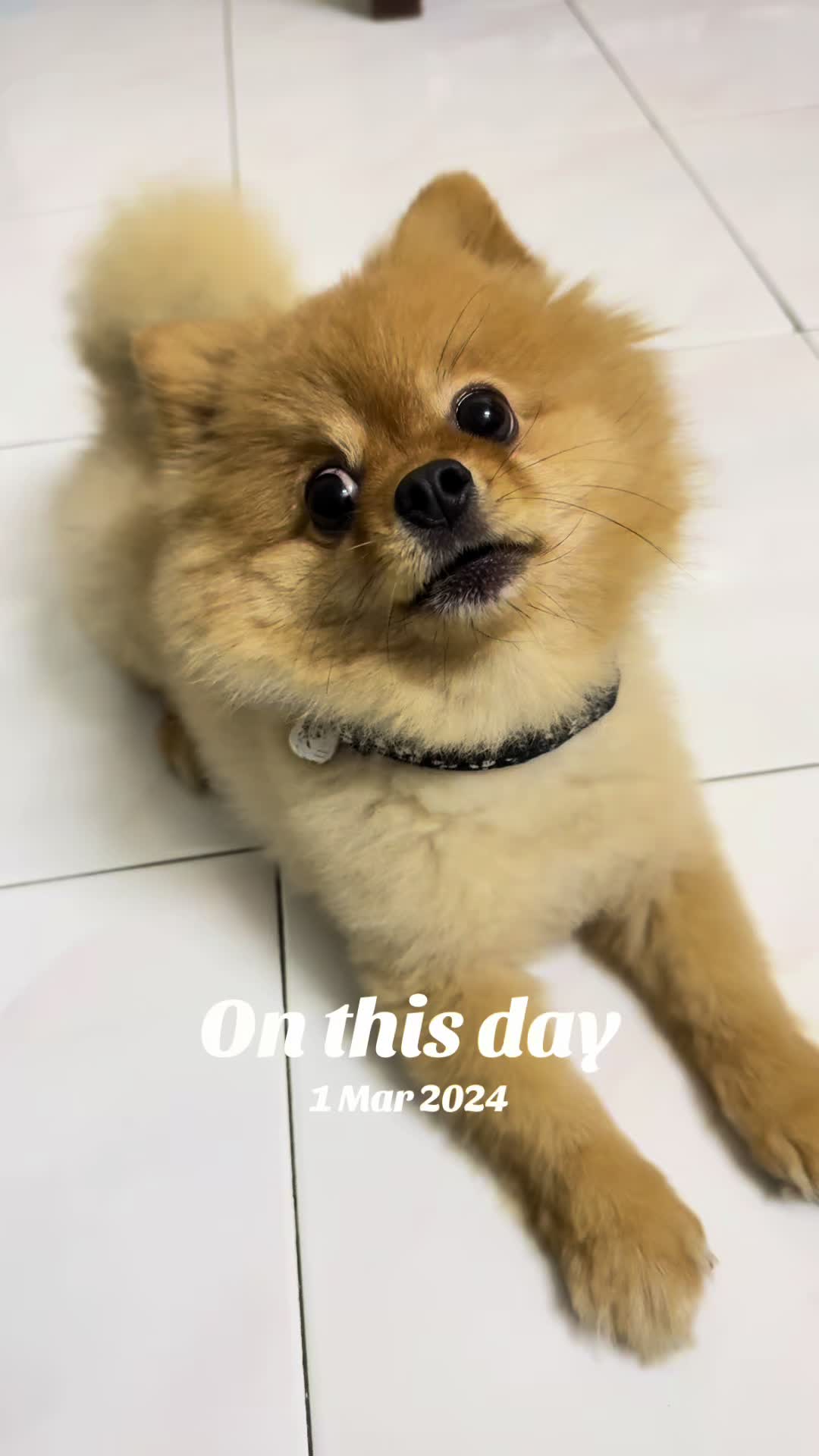 @๐๐๐ช๐๐๐๐โ๐ ๐&๐๐ฆ๐
