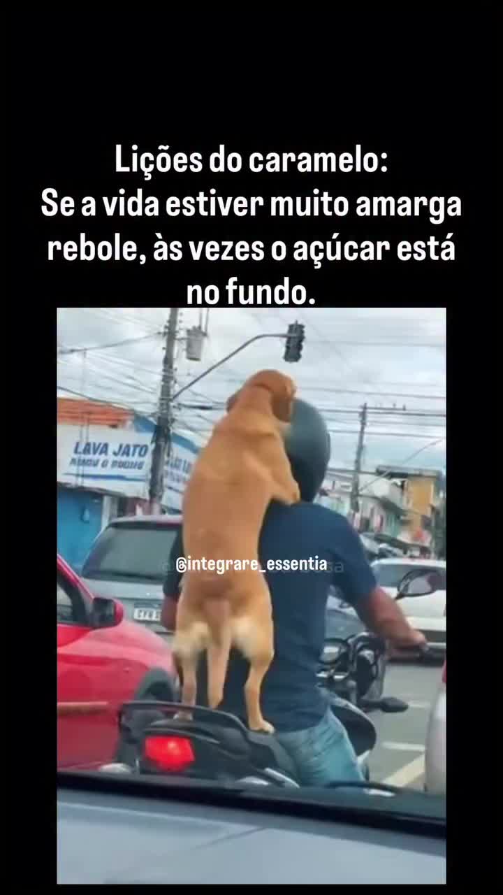 @Robson Leitao II