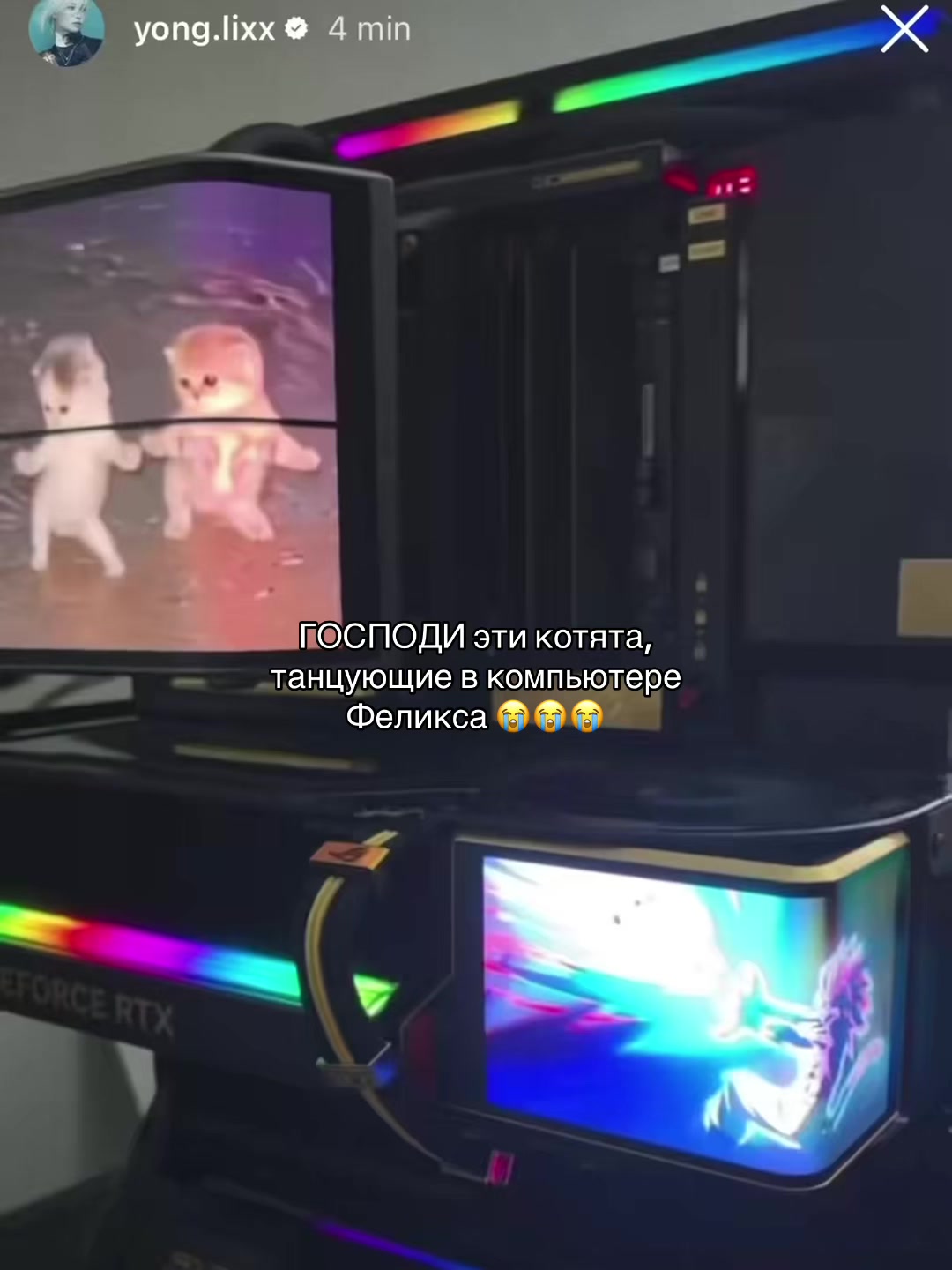 @𝐲𝐨𝐮𝐧𝐠𝐥𝐞𝐞𝐱𝐢𝐞