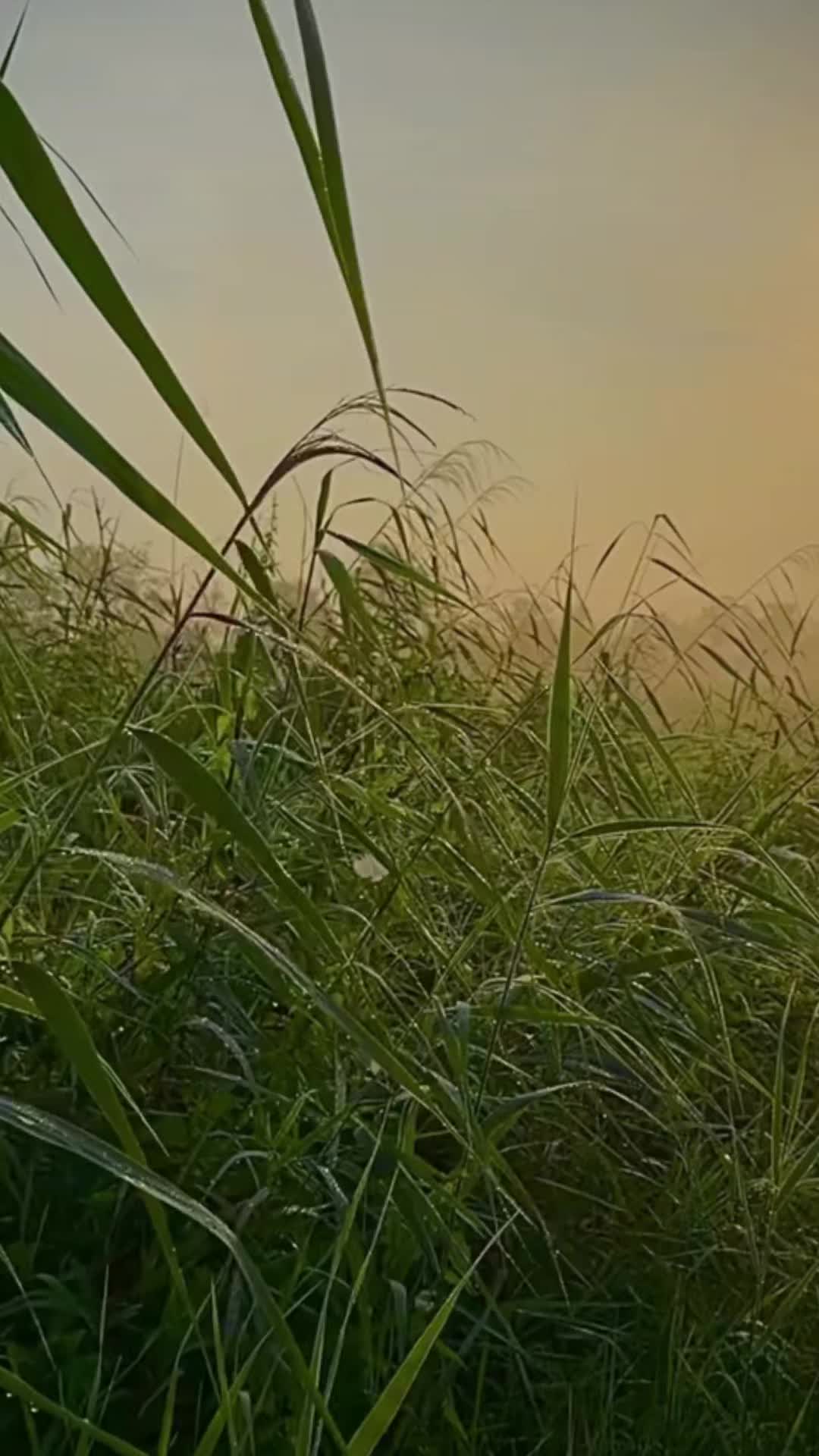@Давні Таємниці