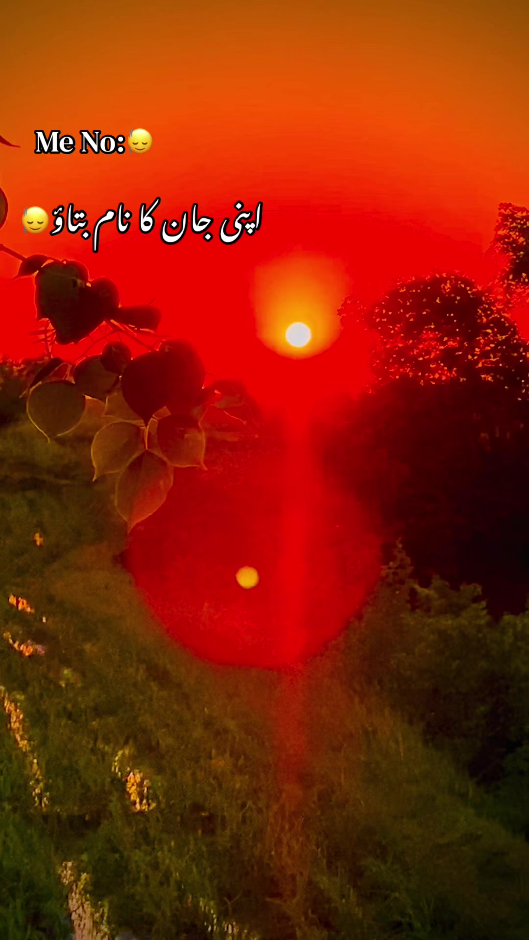 @🥬🎗️پنڈاں آے 🌺
