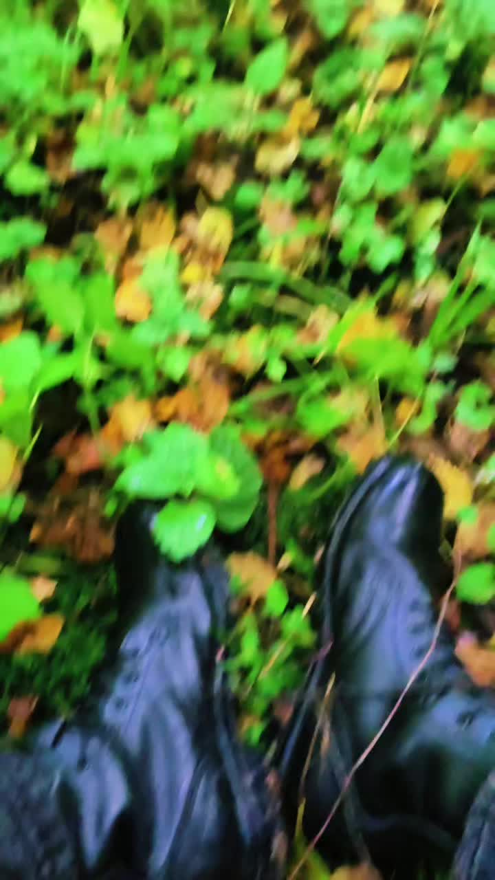 @Алтайᛉ