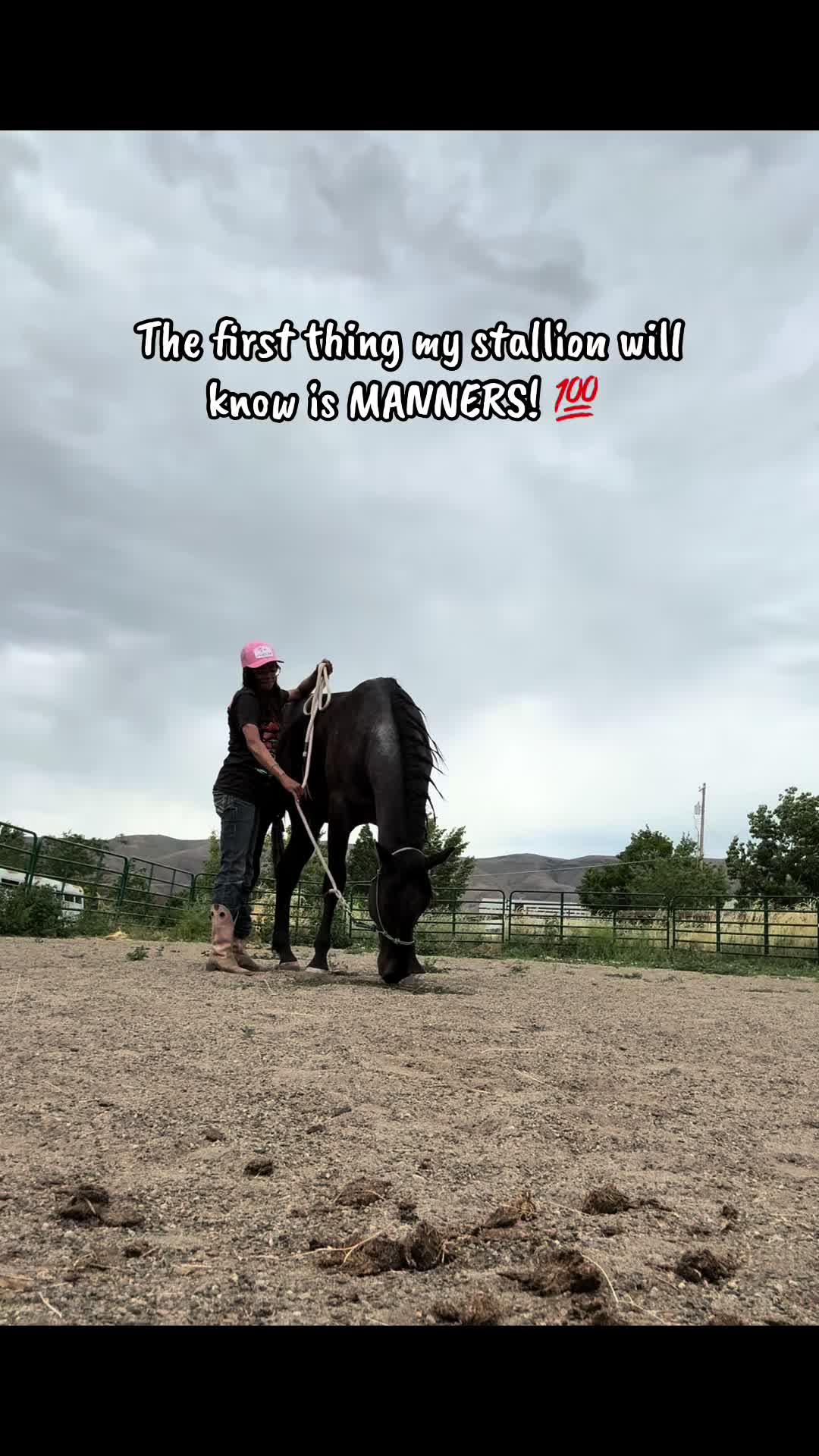 @Cowgirl Tuff Colt Training ❤️