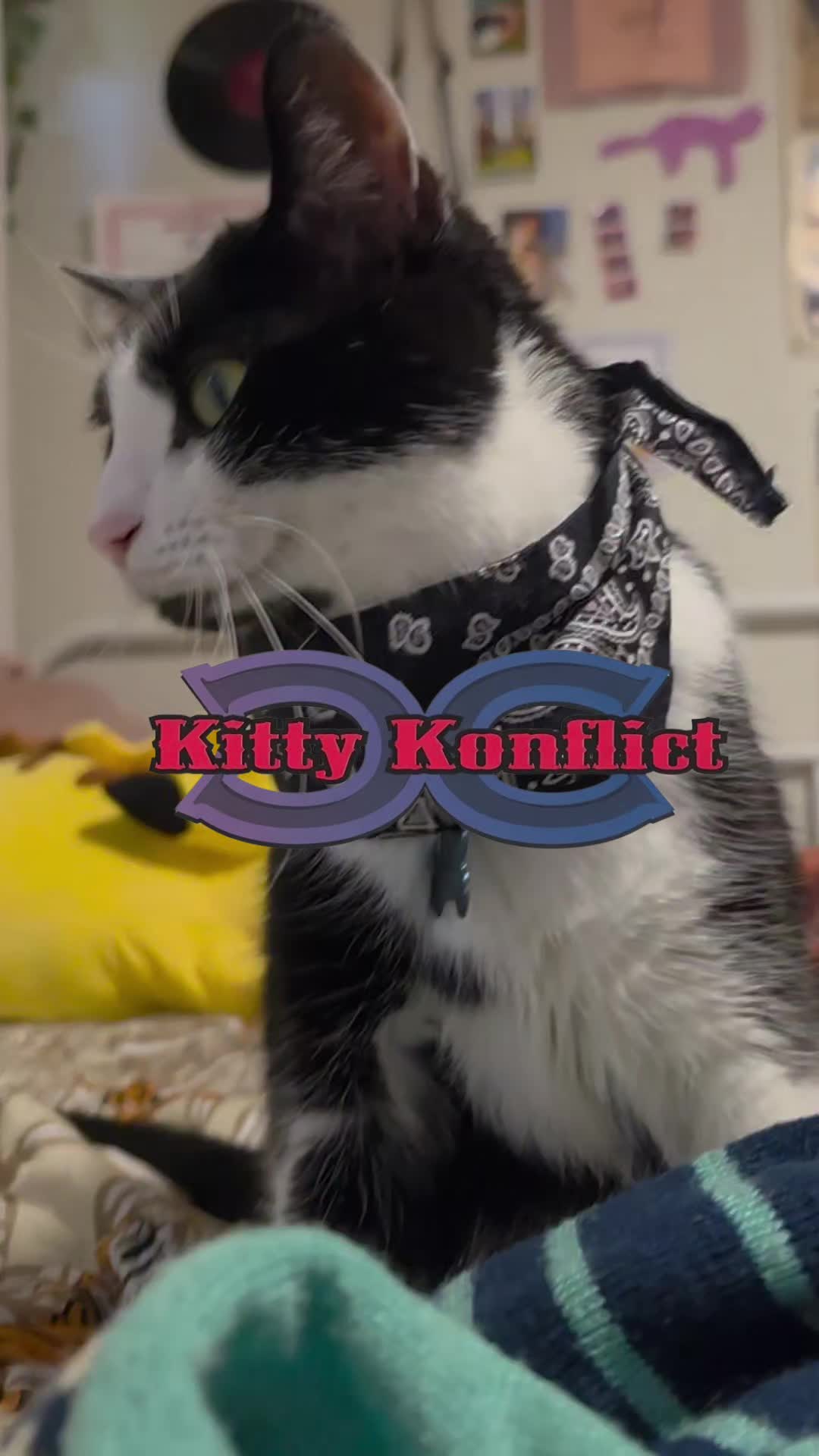 @THUGxedo Cat