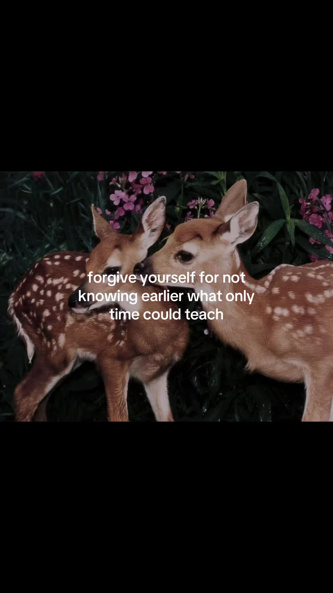 @kaitlyn🧚♀️✨