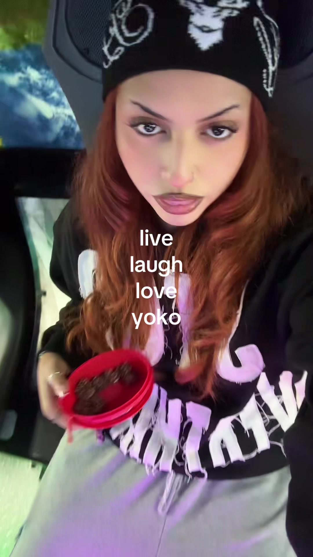 @ari ⊹