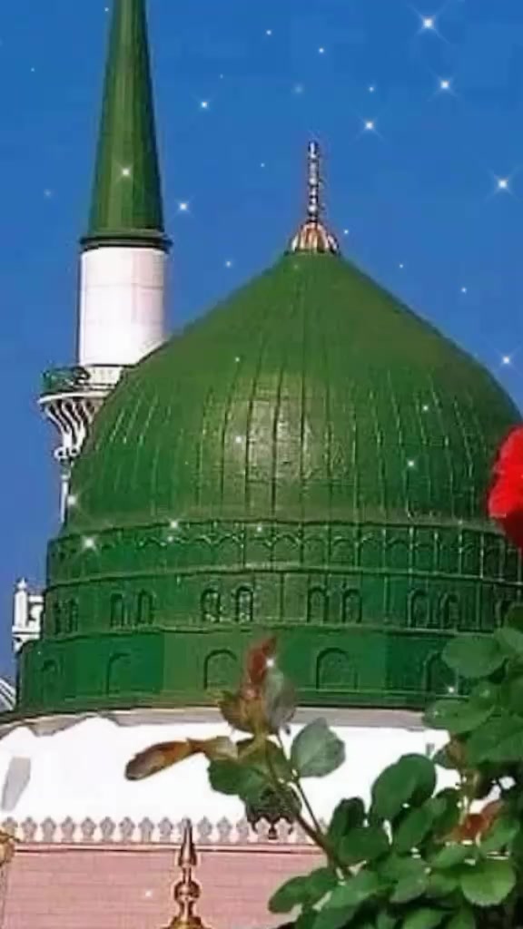 @Ali Hassan Hans