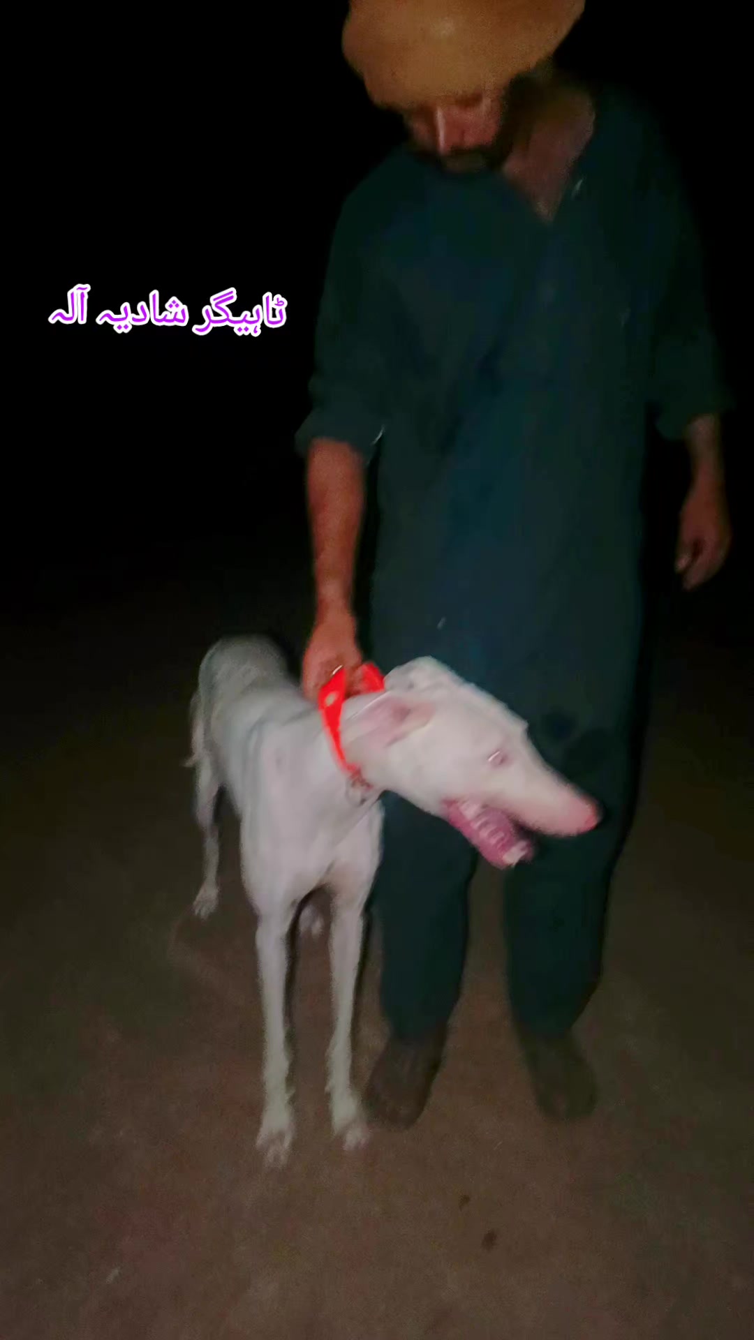 @Mushtaq Ahmad