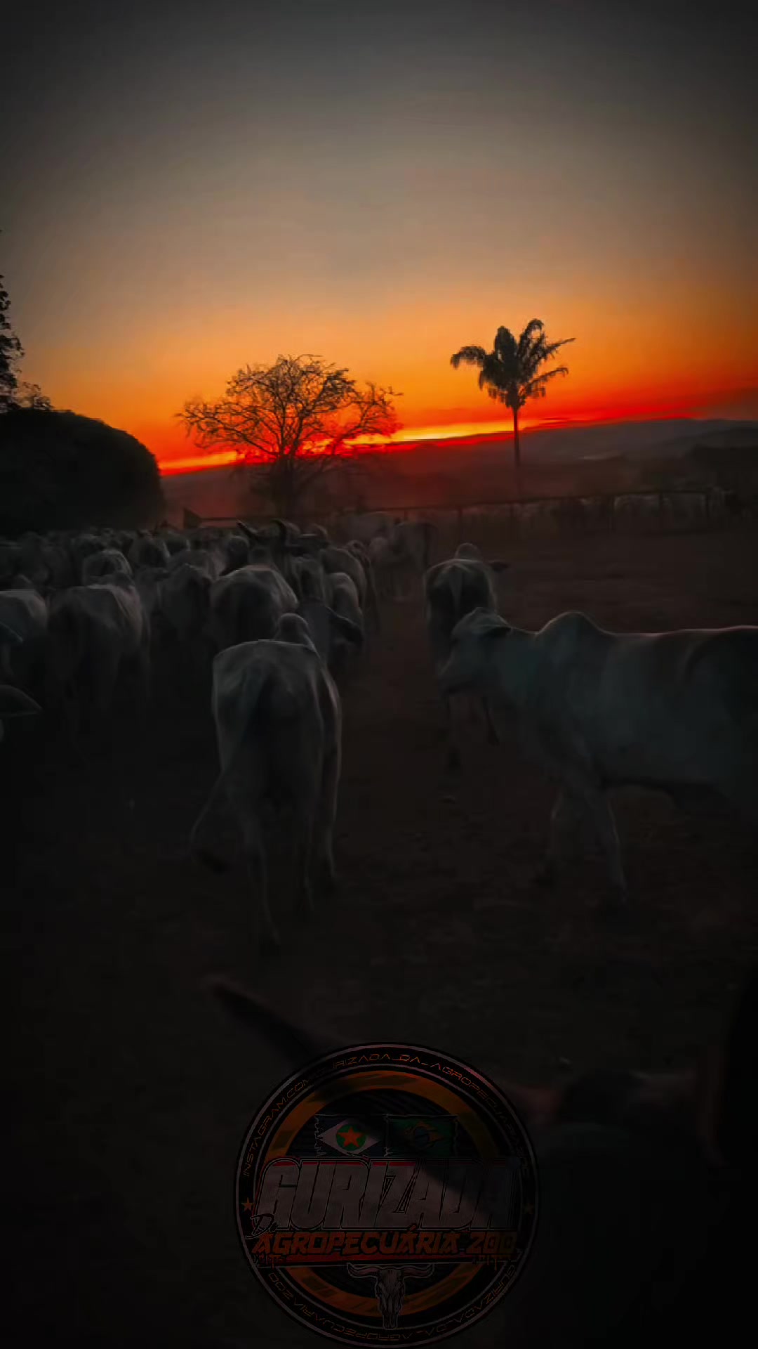 @gurizada_da_agropecu&aacute;ria