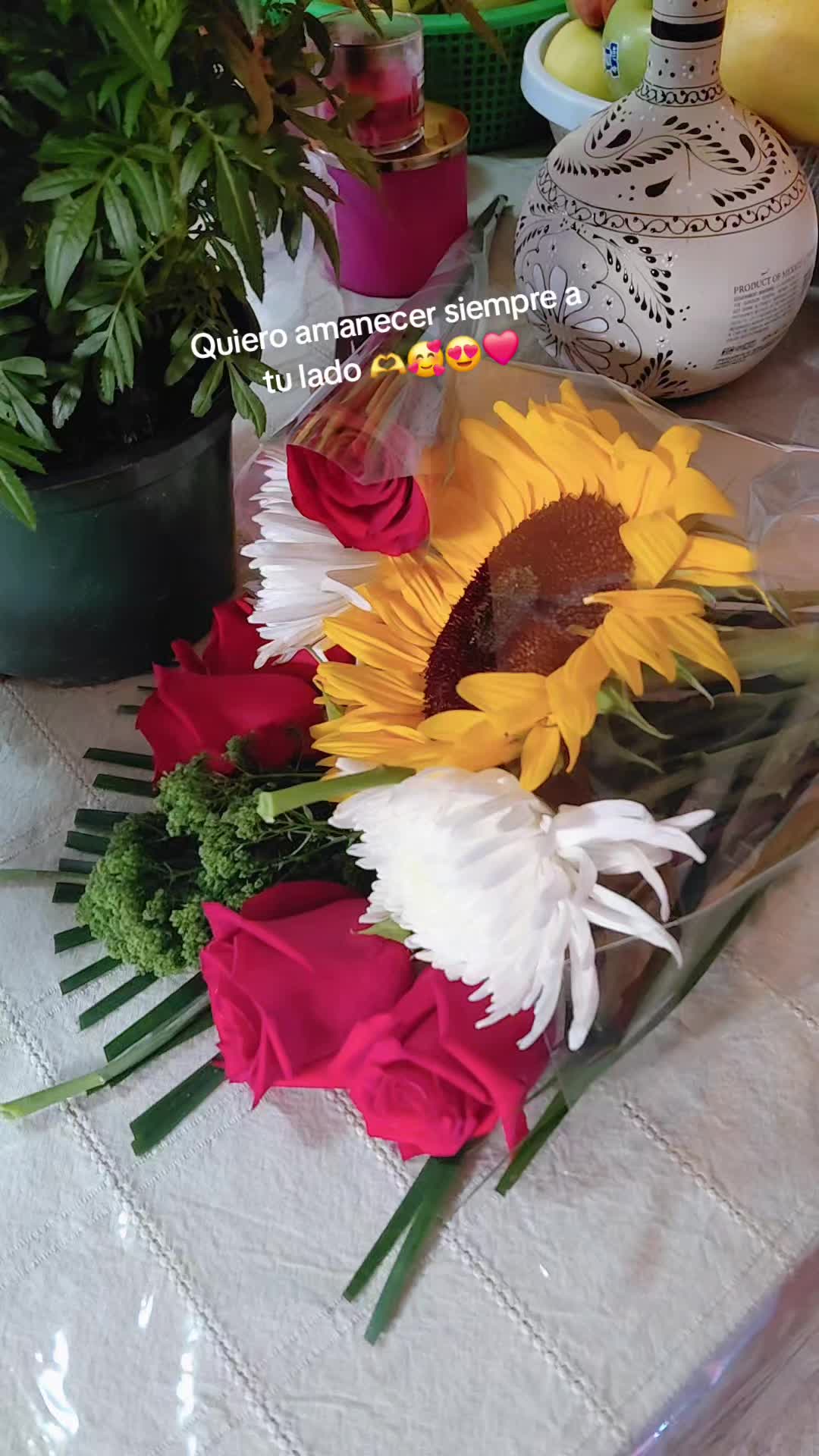 @joanalacoquetainolvidable ๐๐ฆ
