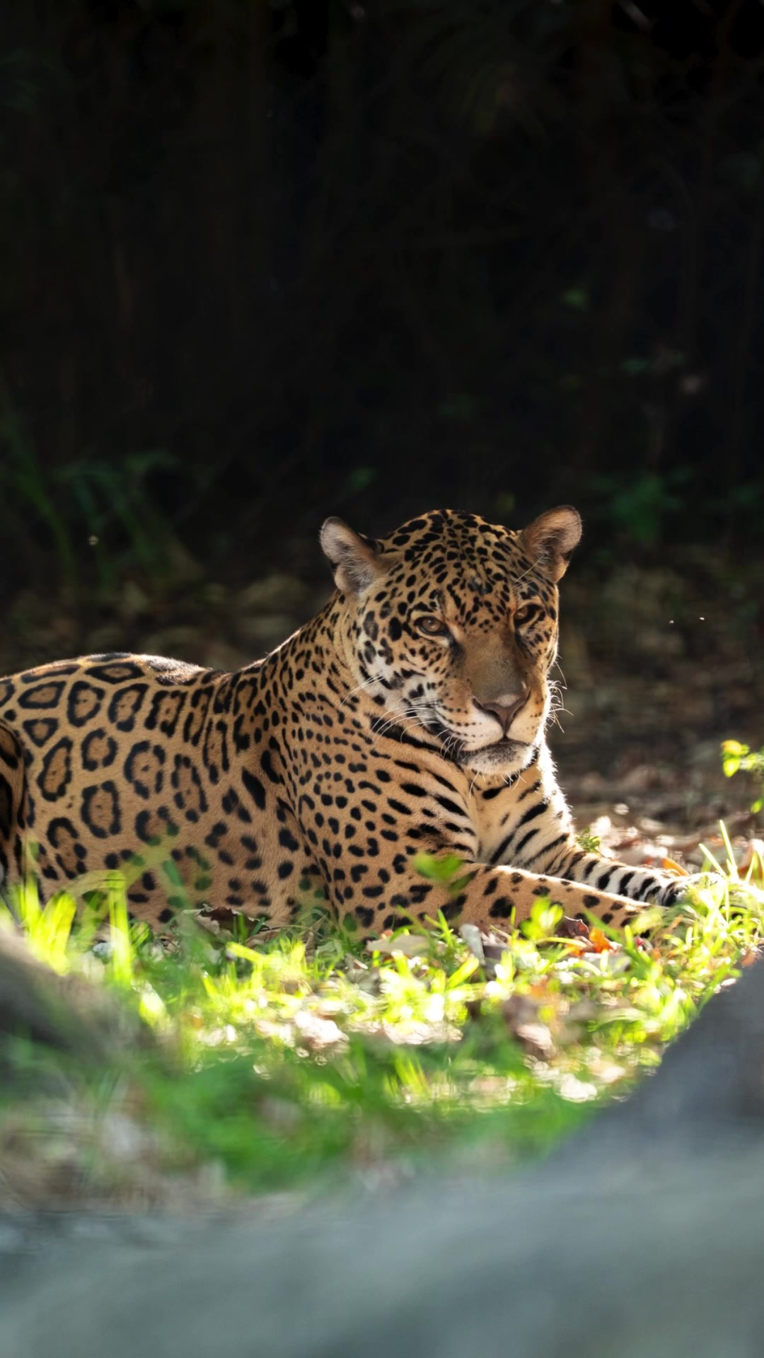 @Palm Beach Zoo
