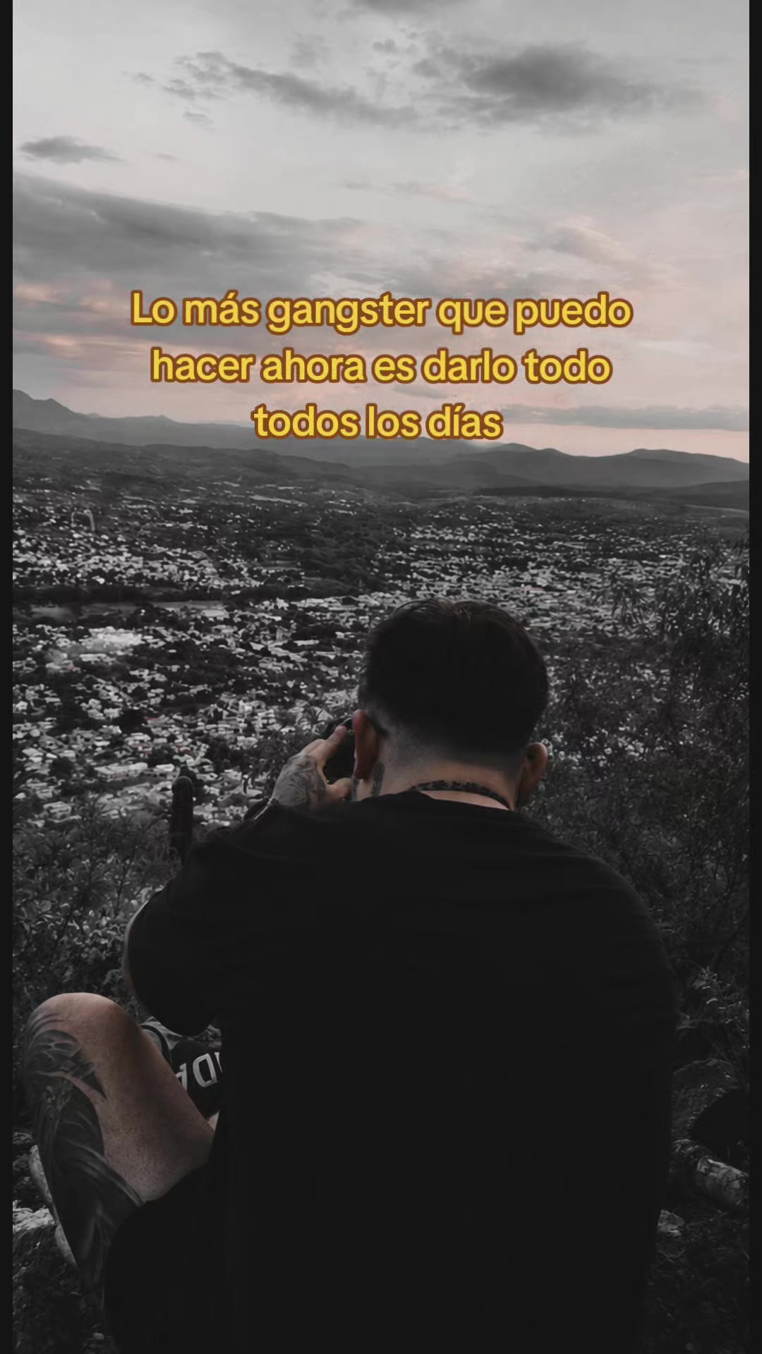 @Tavozdk
