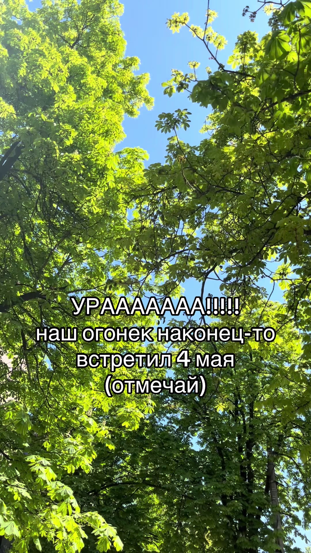 @veronichka🌷