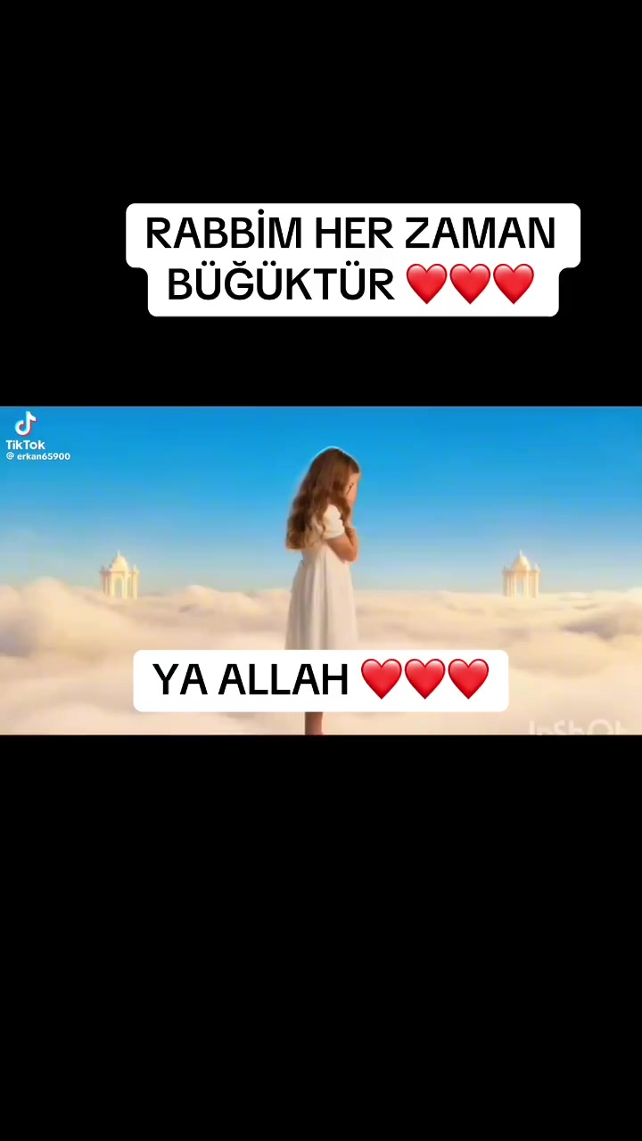 @akrep 03 🦞