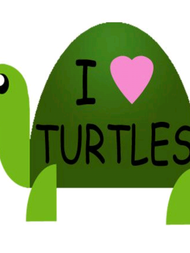@kaito proyectadas 👀👀🐢