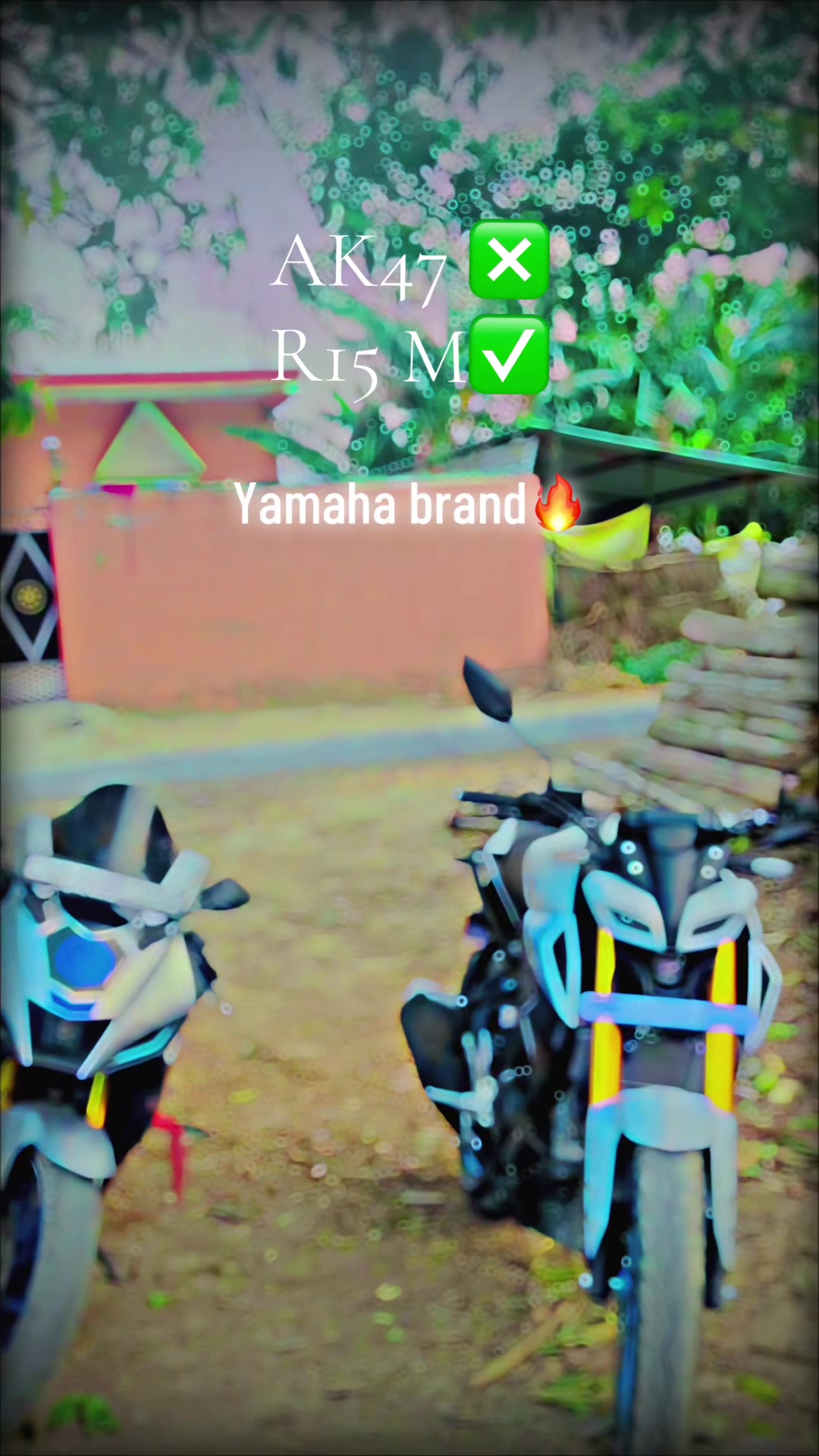 @┋ડυ𝙧ꪋ𝓳Ṝꪋ𝕛קυԵ⠀ᥫ᭡፝֟፝֟