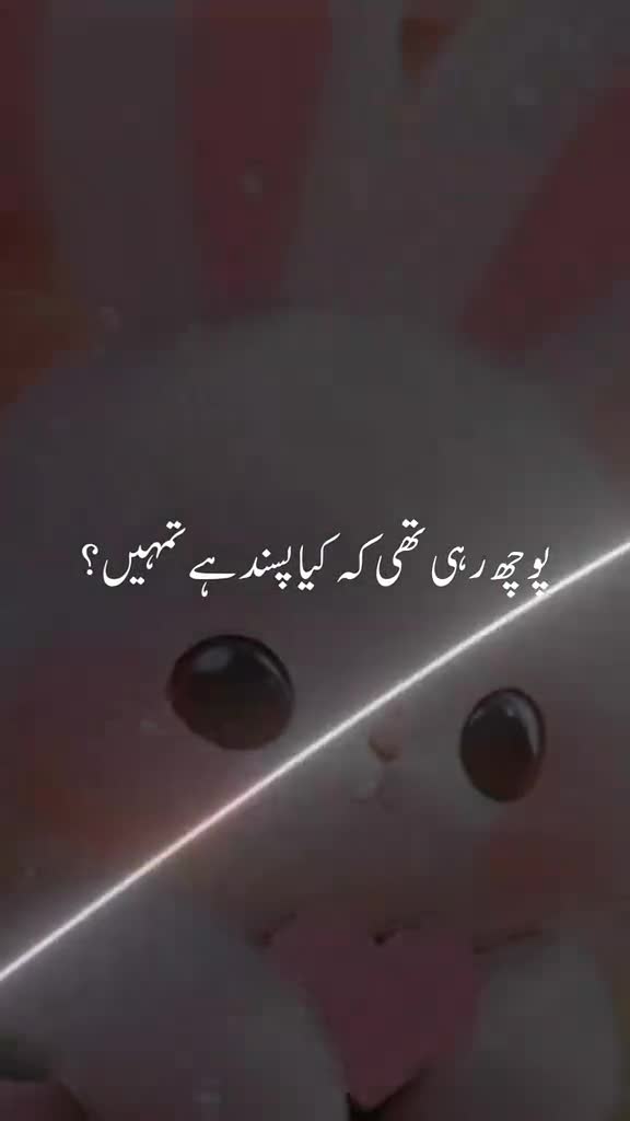 @desi boy