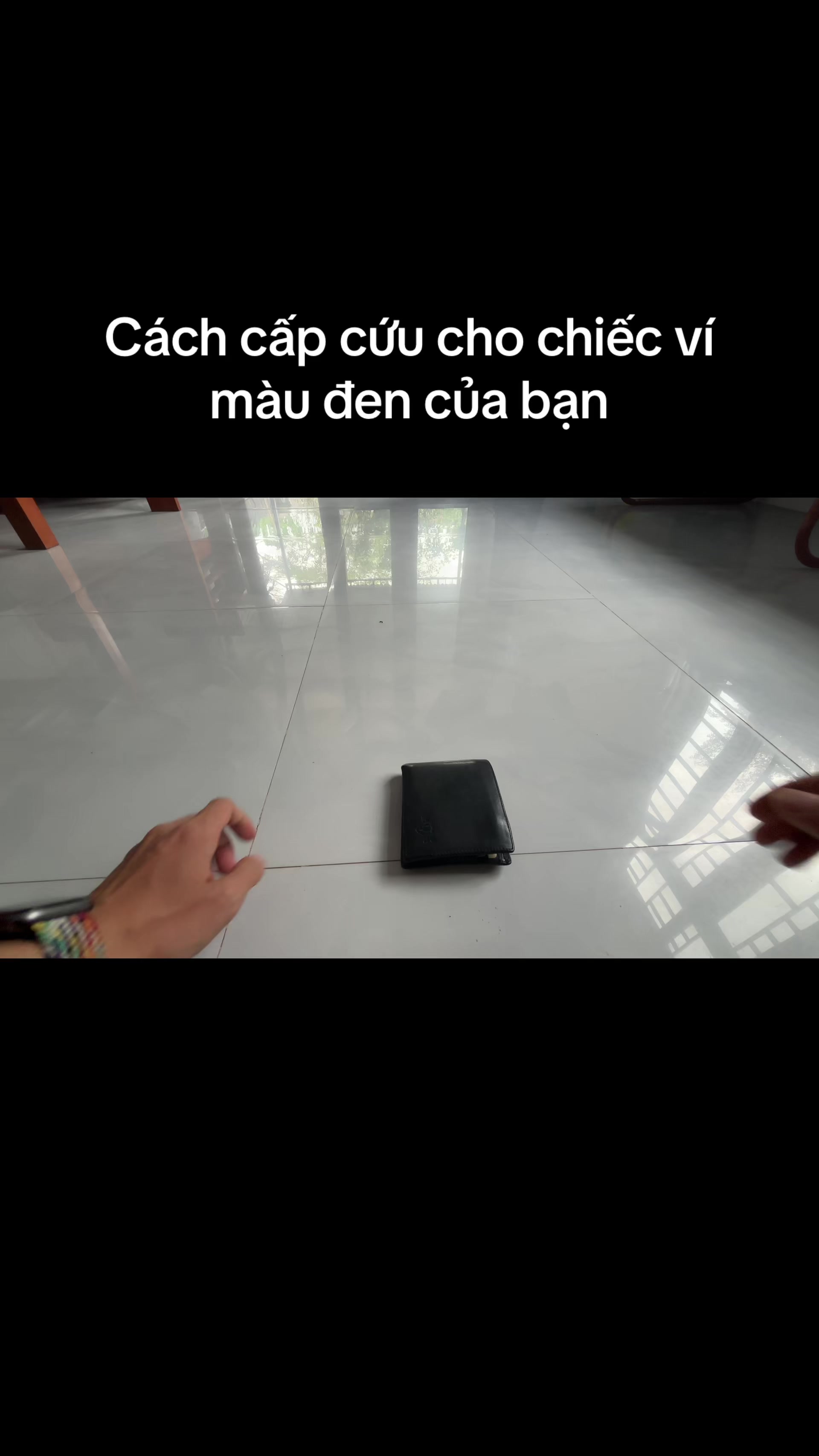 @Mèo thông thái