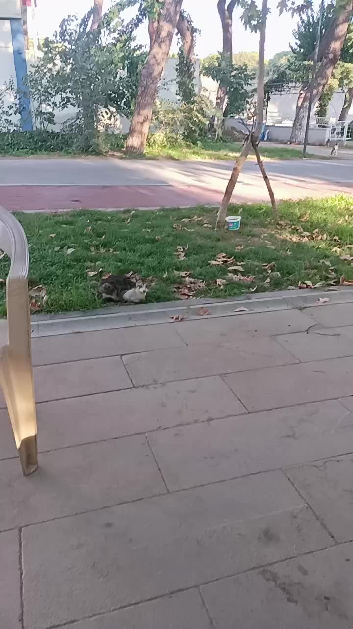@minnoşlarim herşeyim♥️