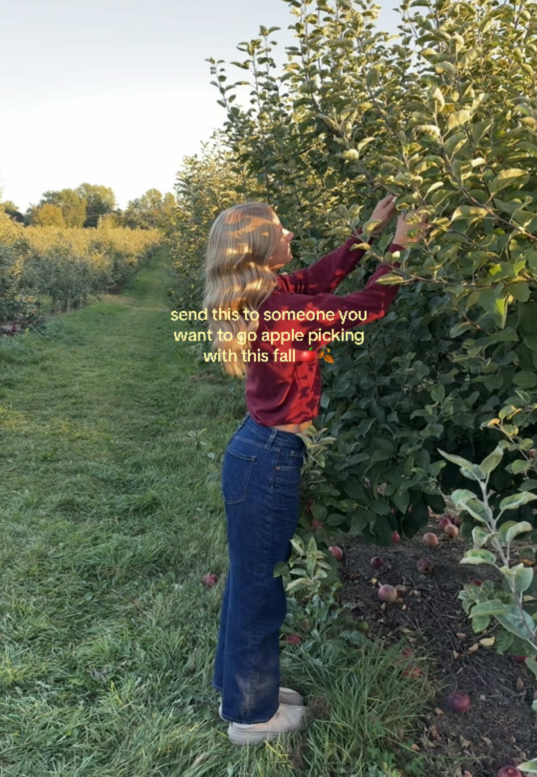 @ALEXA PAE