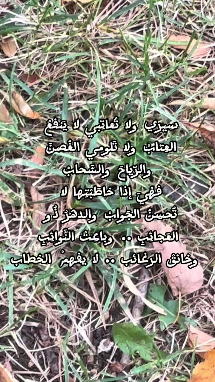 @ahmed.hameidi