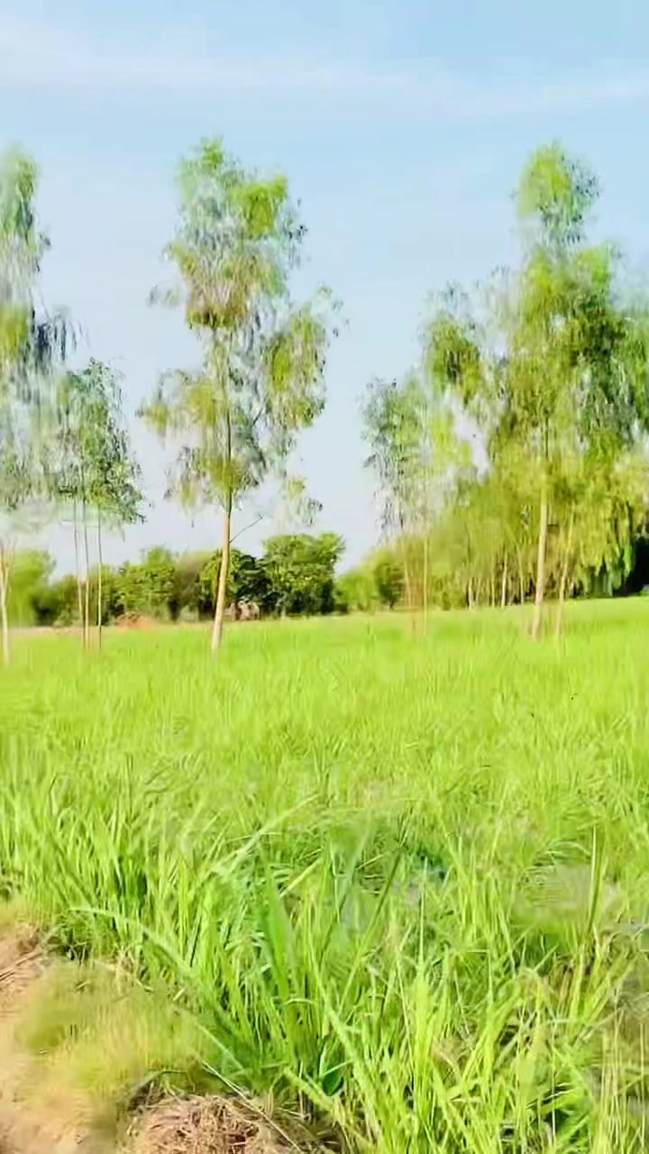 @ISLAMIC VIDEOS