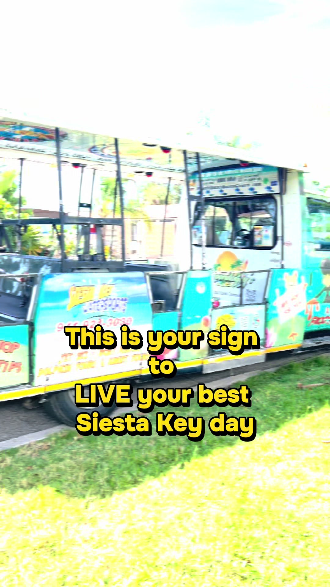 @Siesta Key Frog Hop
