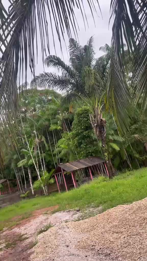 @Raimunda iraneide da silva