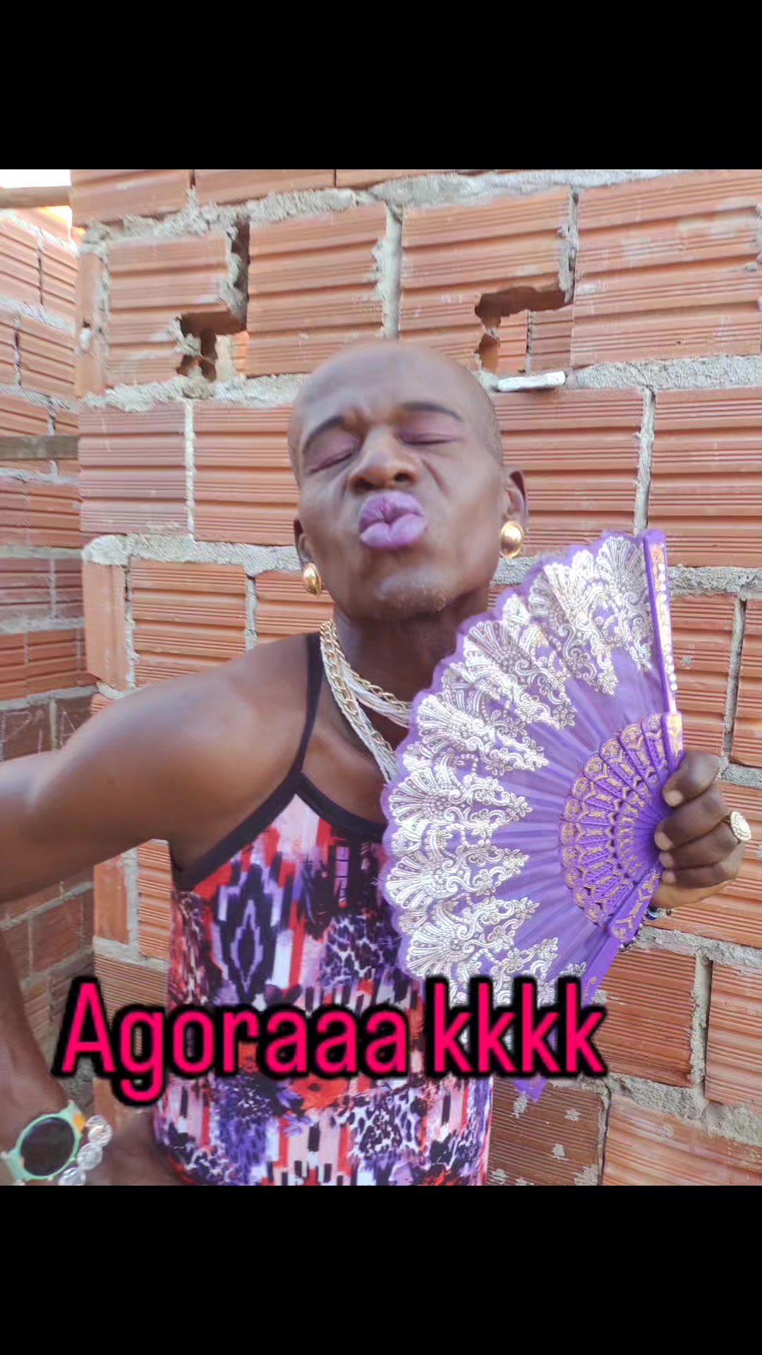 @vera ver&atilde;o do nordeste