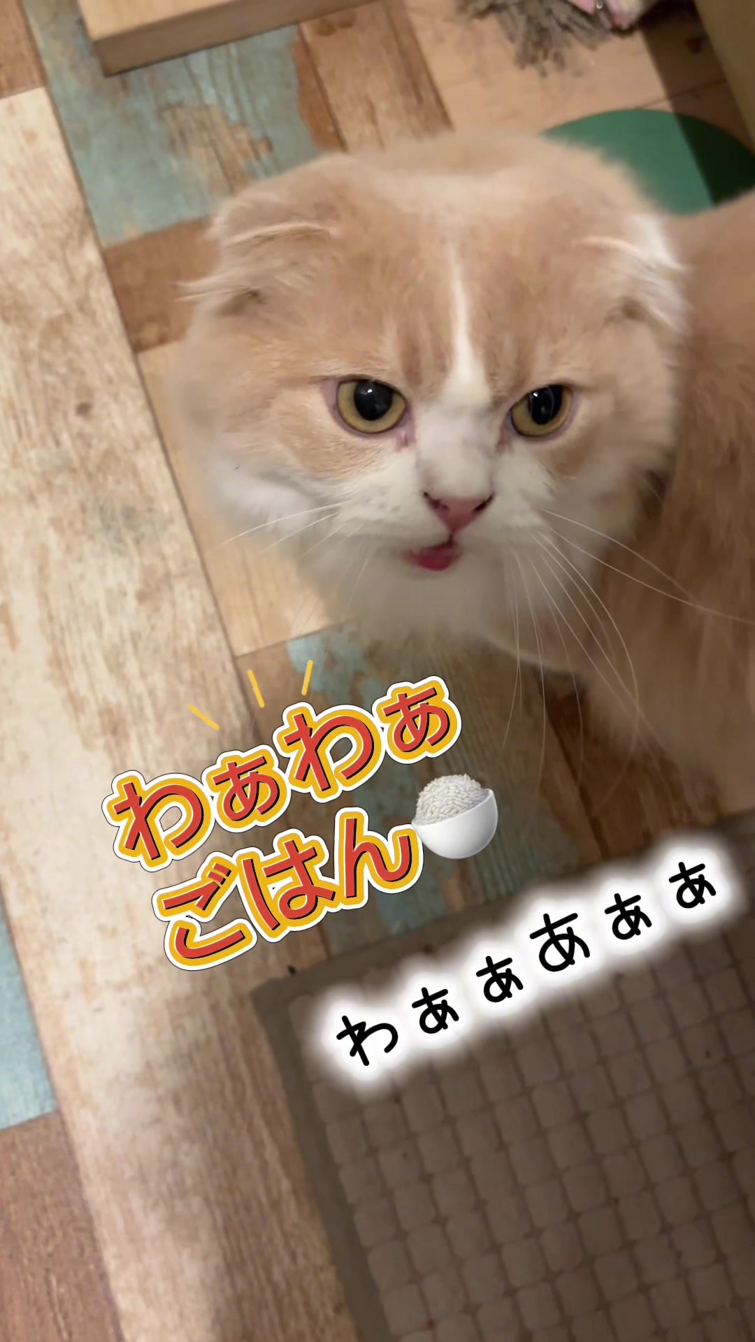 @くるラテ