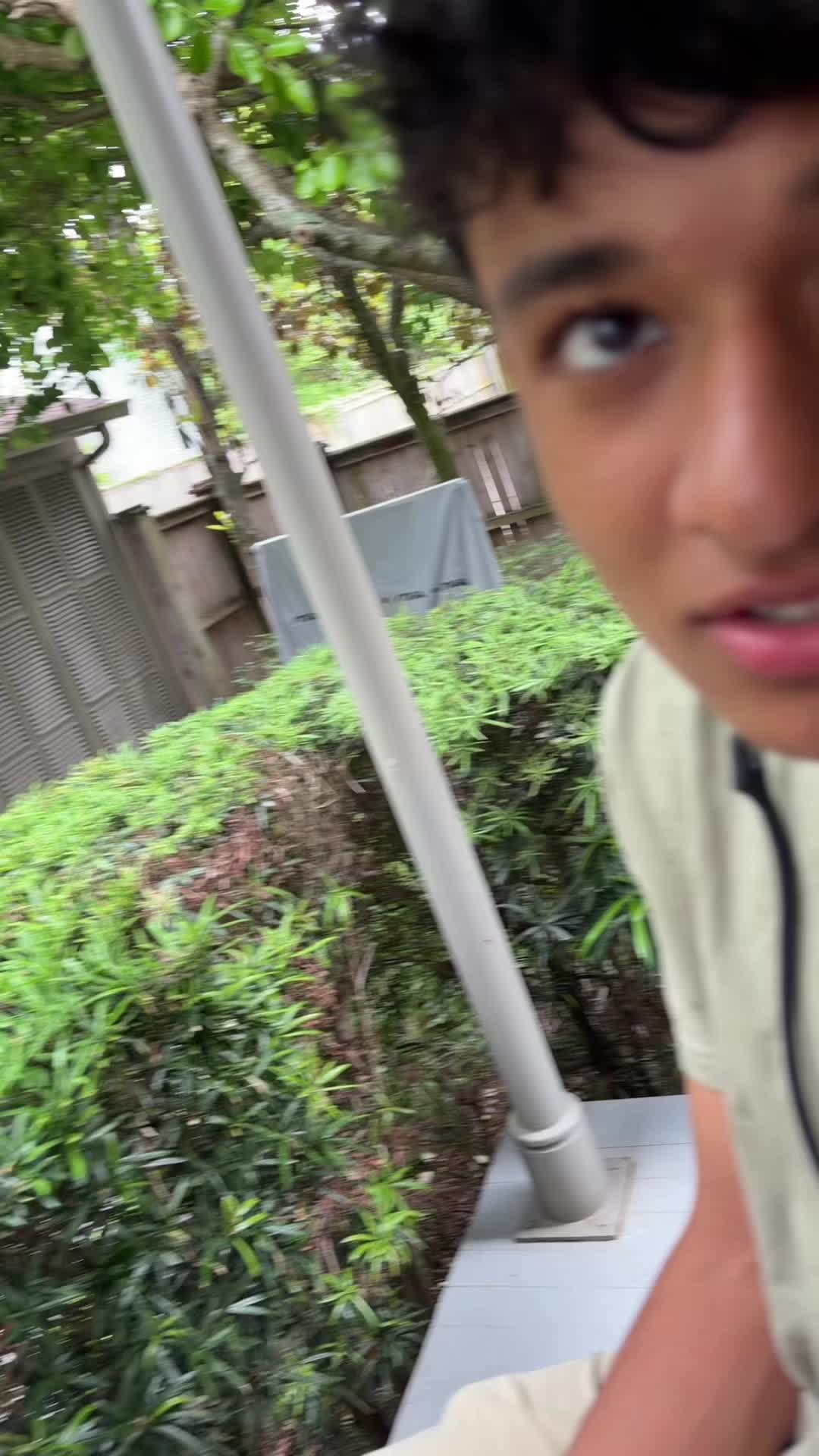 @townclownsdiml_