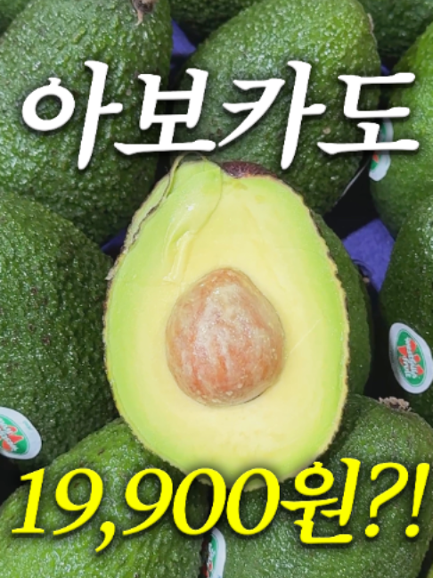 @해운대송사장