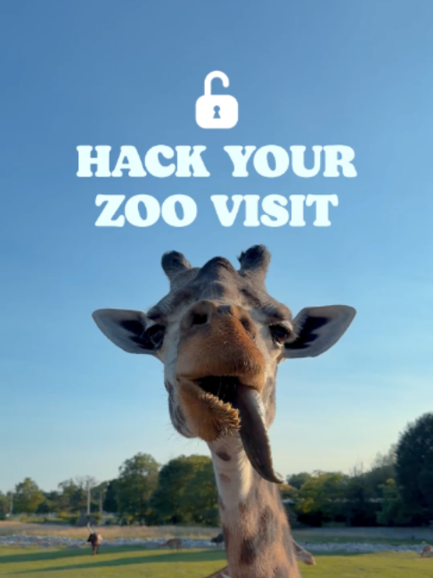 @The Toledo Zoo