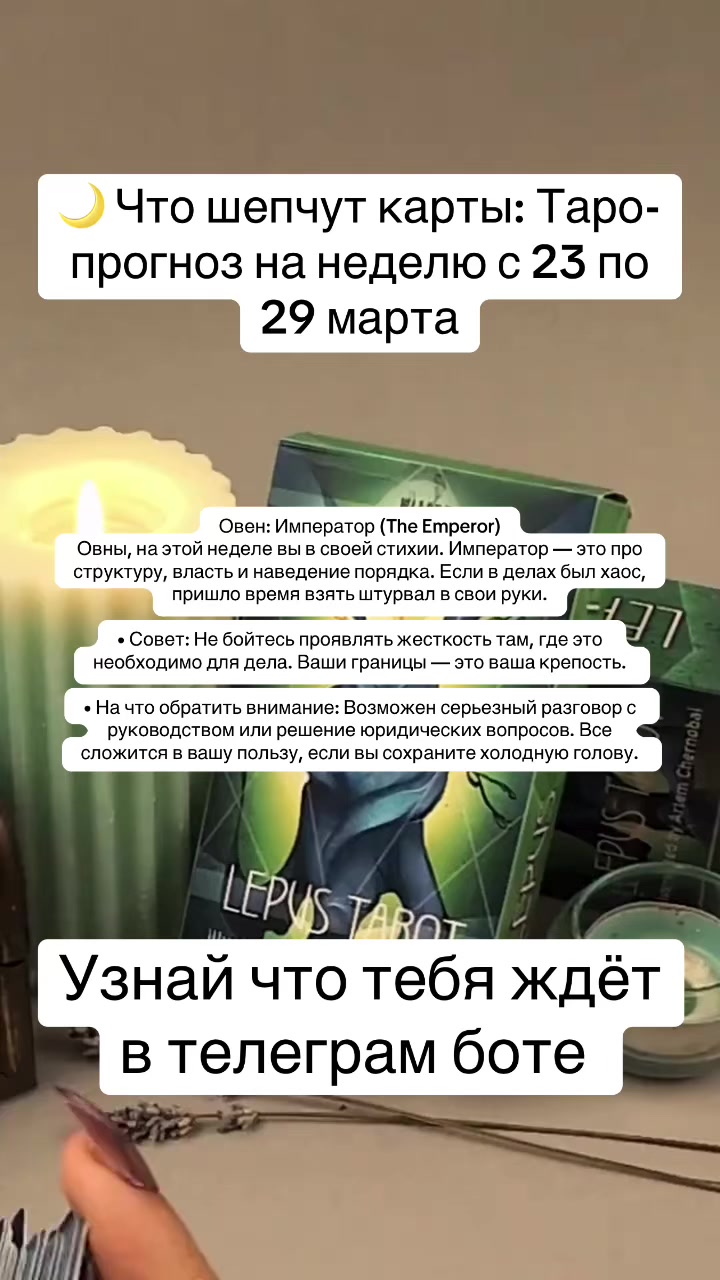 @Твой AI оракул🔮