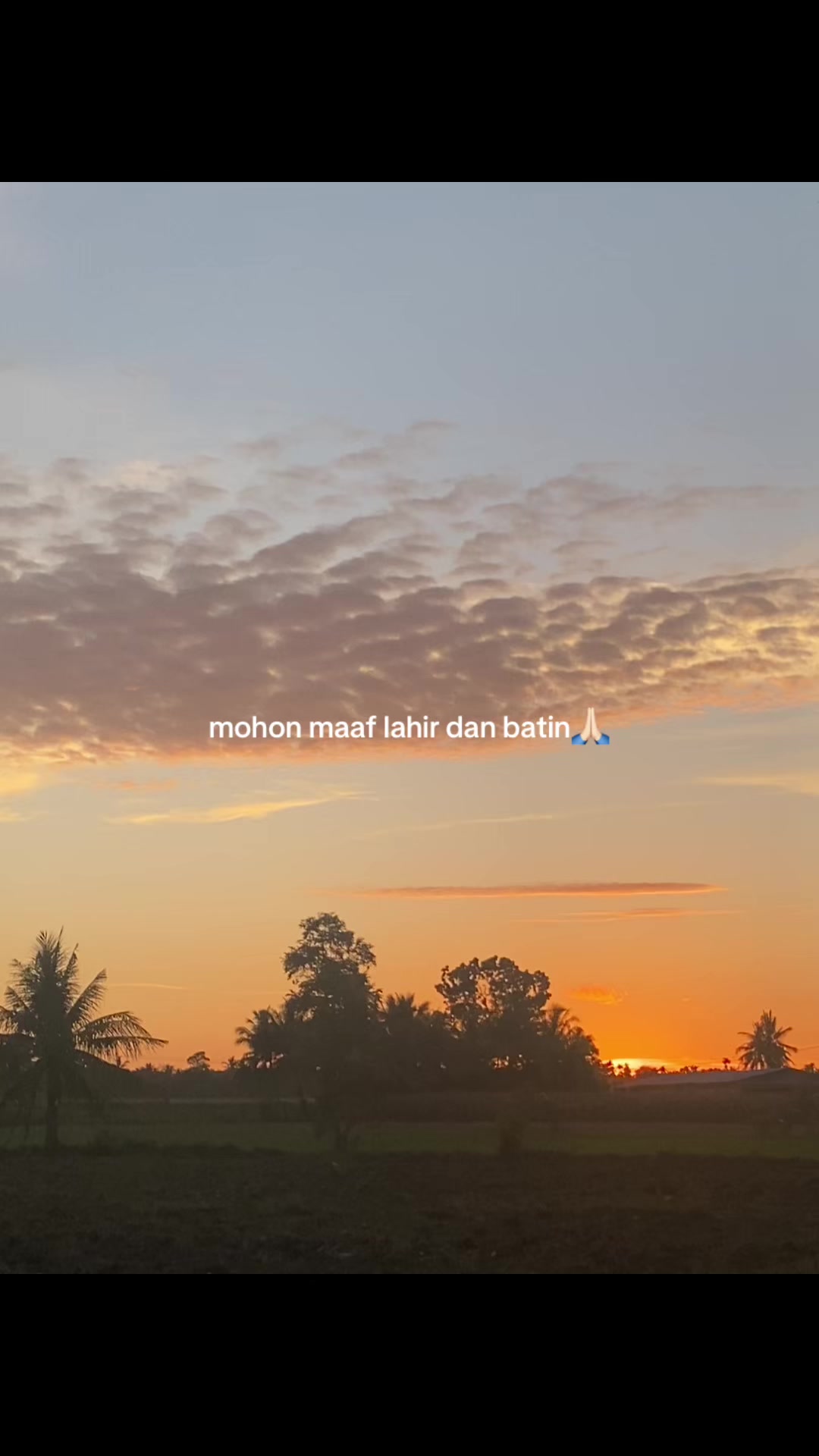 @lonelynes🥀