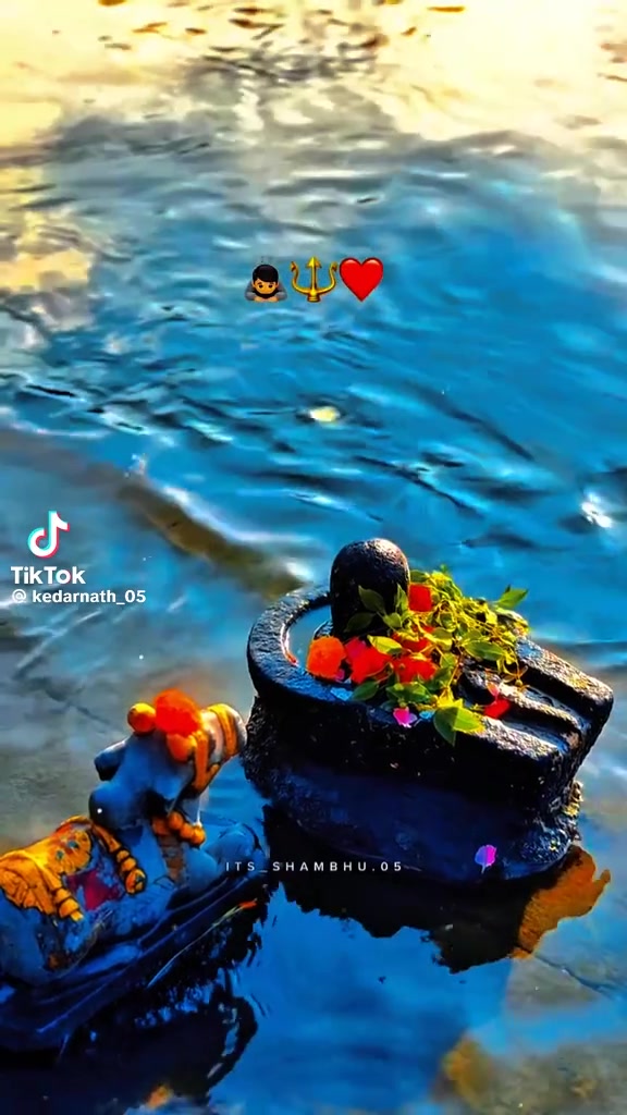 @Anjali💙🥰