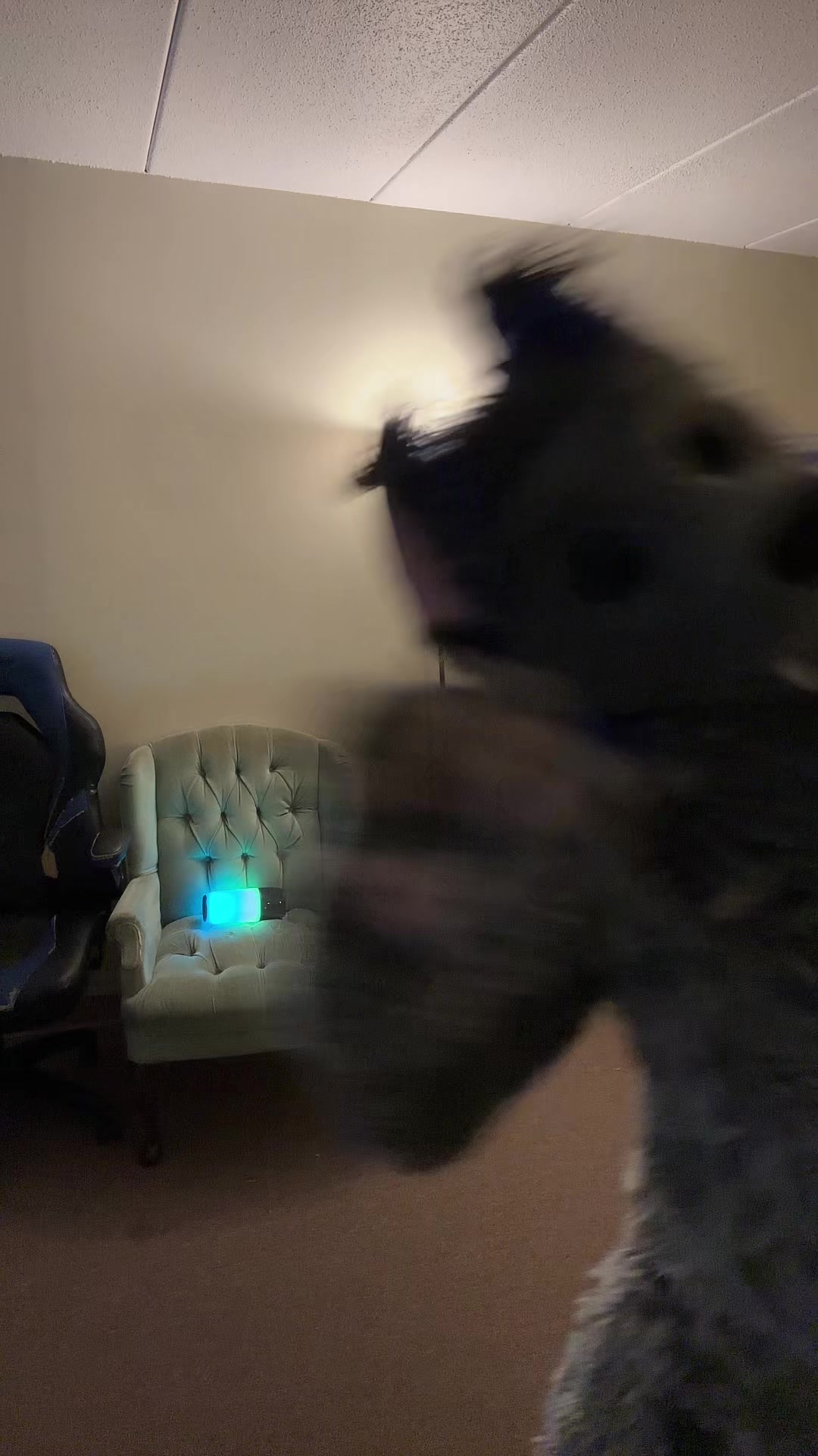 @ph0toshoot