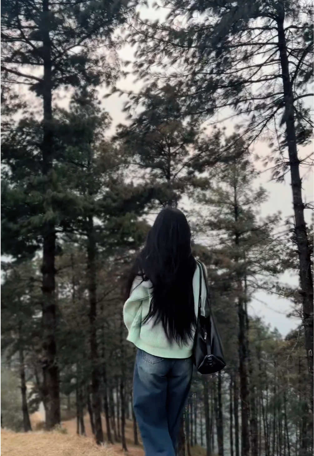 @ushachhetri_