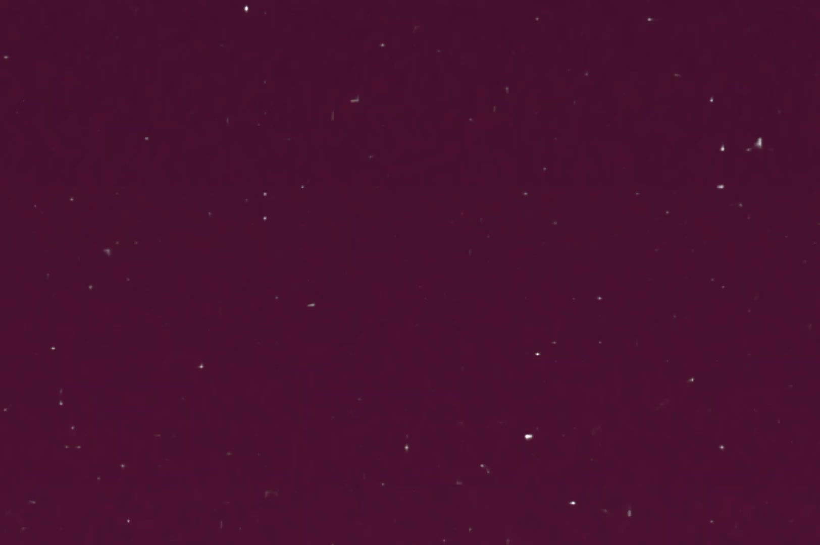 @𝒜⭐️