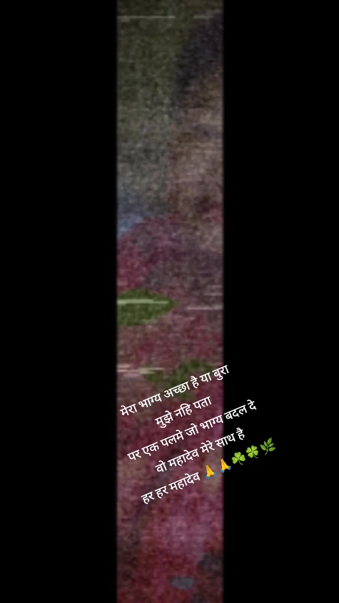 @sushila