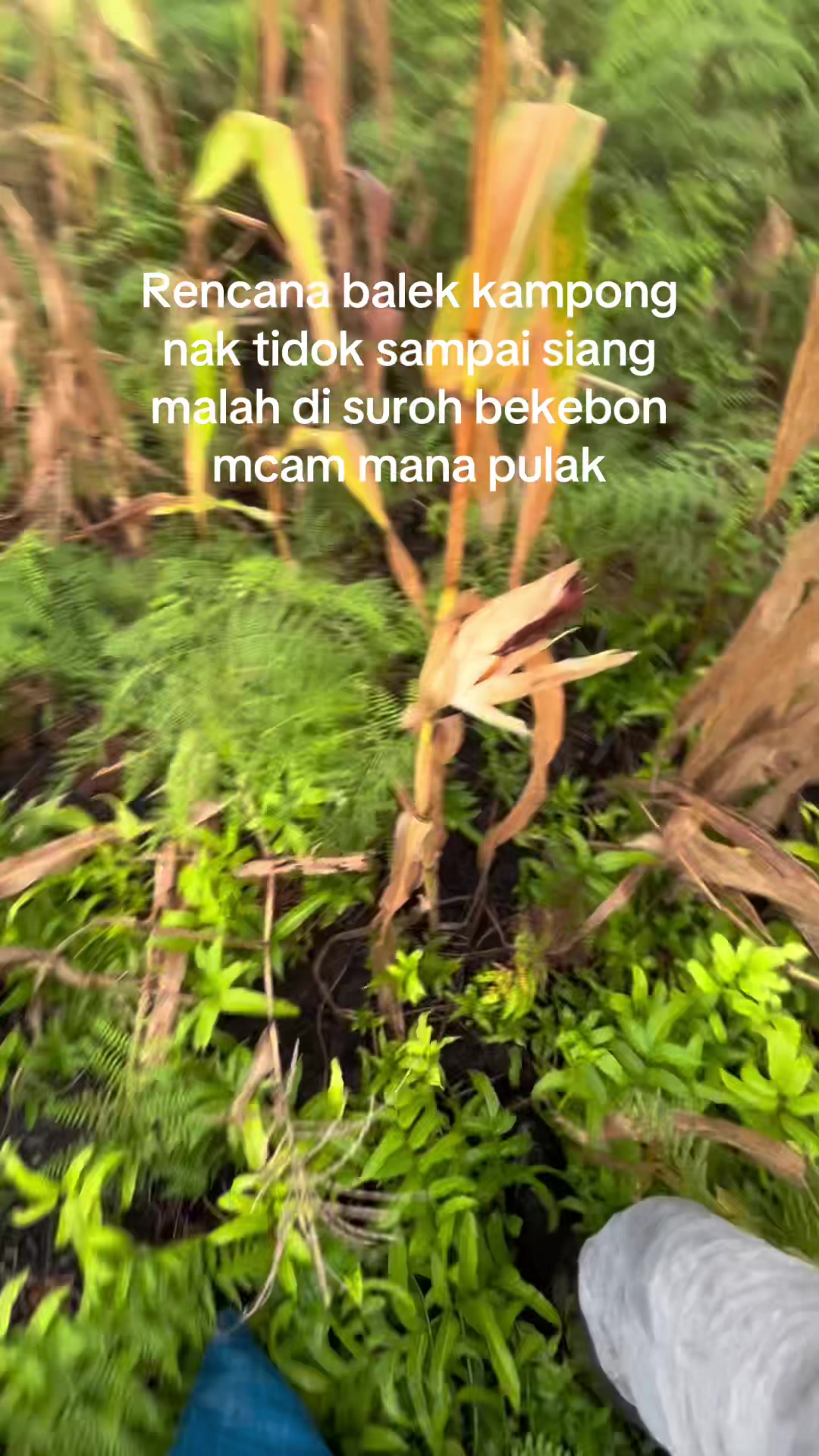 @Aswat