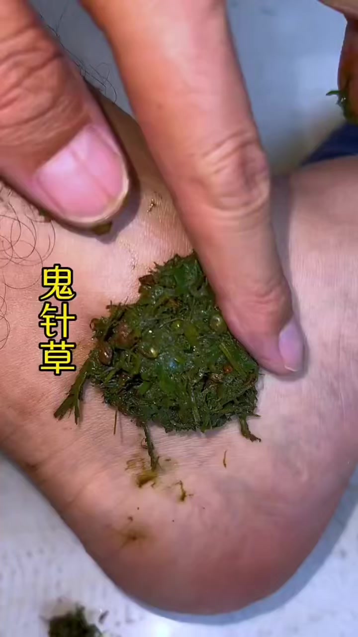 @珍姐照護變現/好物分享