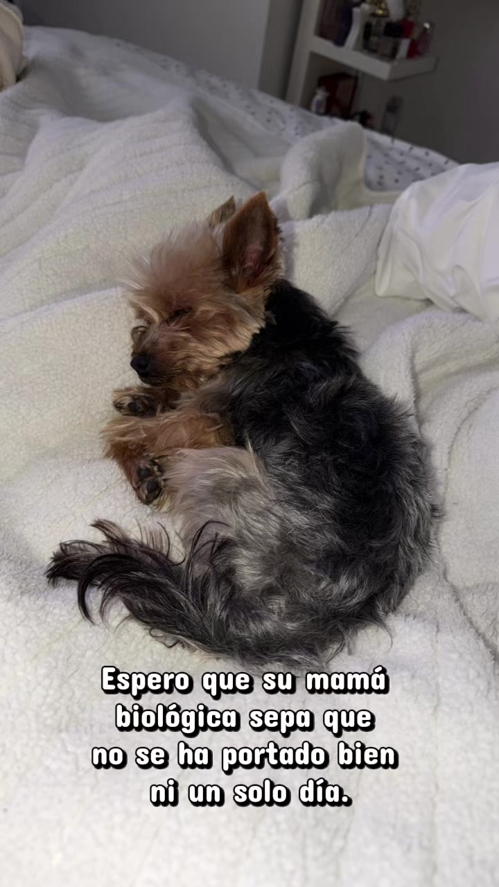 @Dani